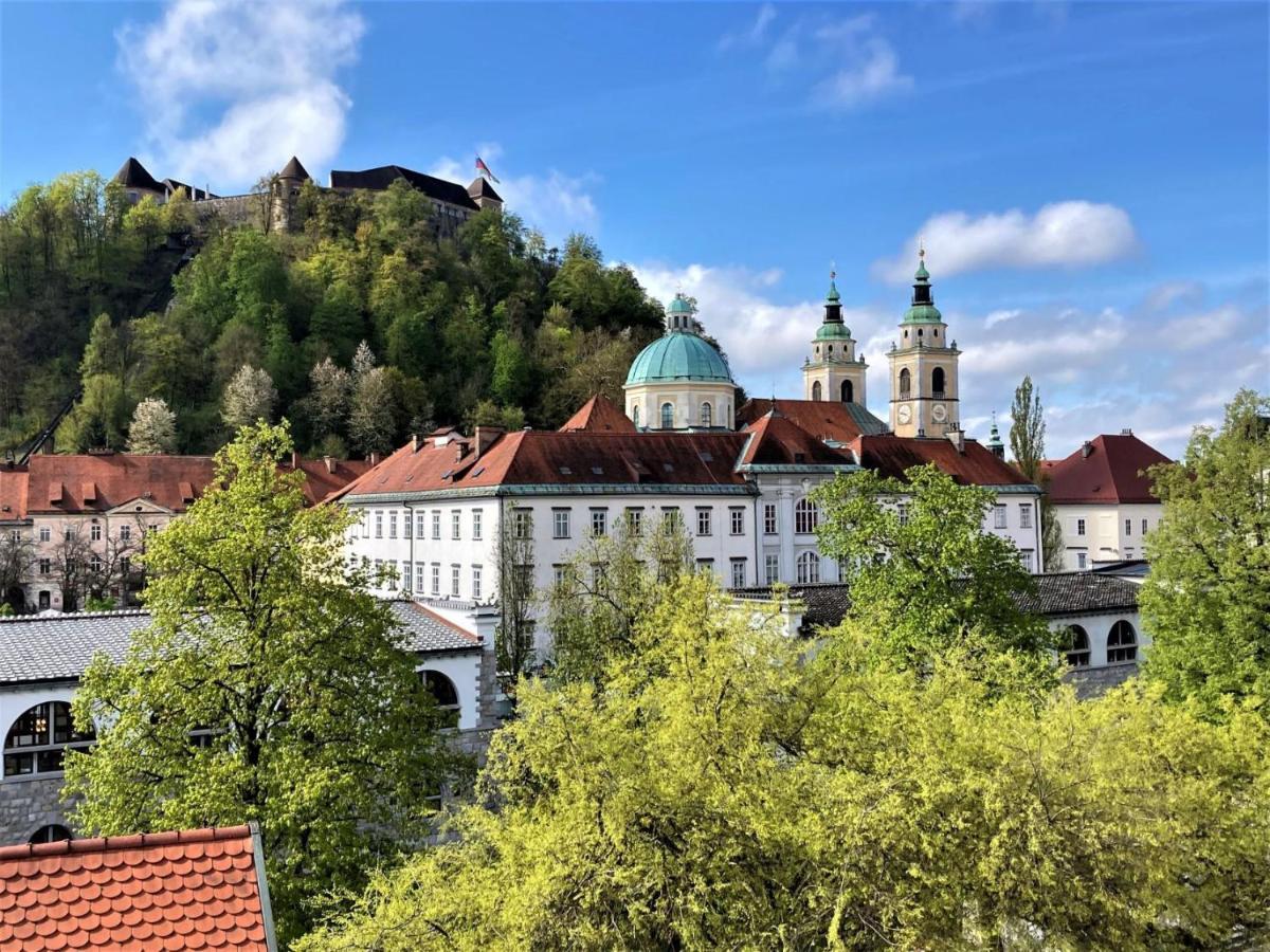 Rohrmann Apartments Ljubljana Ngoại thất bức ảnh